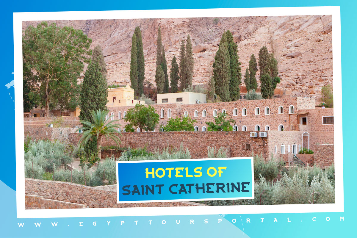 Best Hotels of Saint Catherine - Egypt Tours Portal