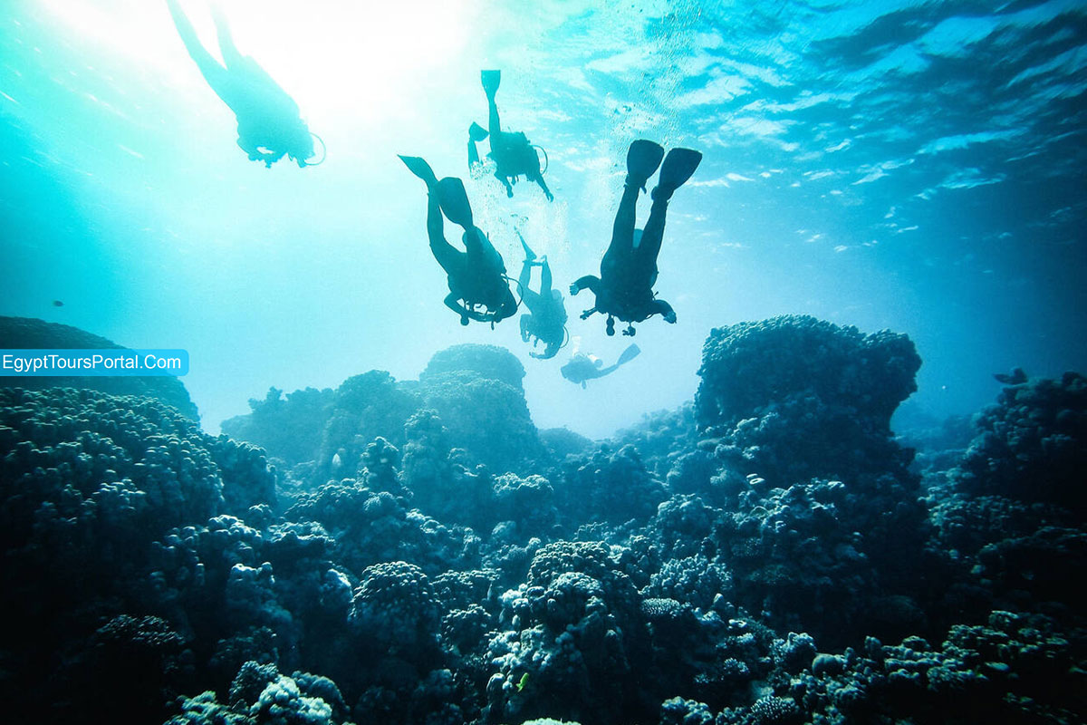 Leisure Tourism in Egypt - Types of Tourism in Egypt - Egypt Tours Portal