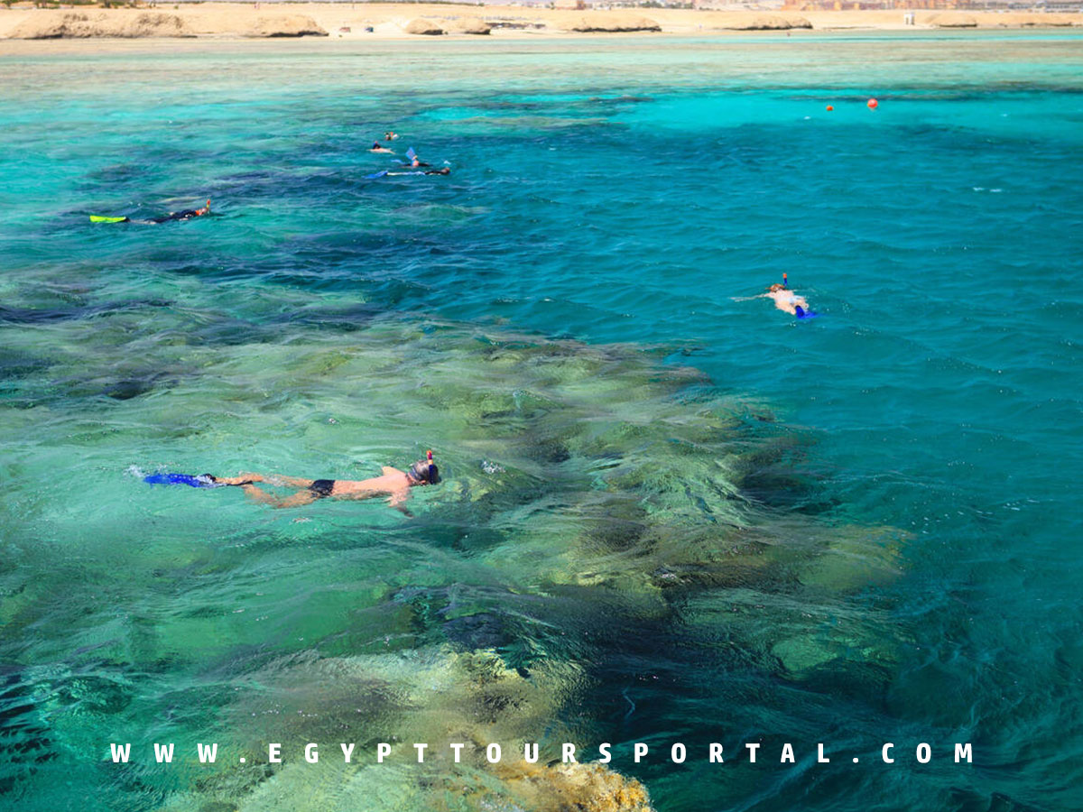 Snorkeling - Things to Do in Port Ghalib - Egypt Tours Portal