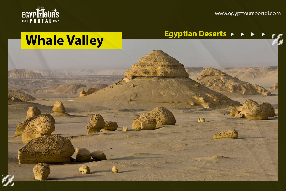 Whale Valley - Famous Egyptian Deserts - Egypt Tours Portal