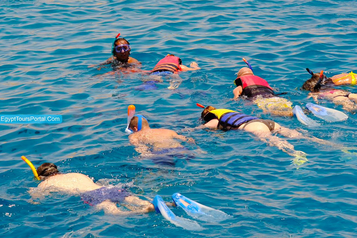 Activities to do Giftun Island - Egypt Tours Portal