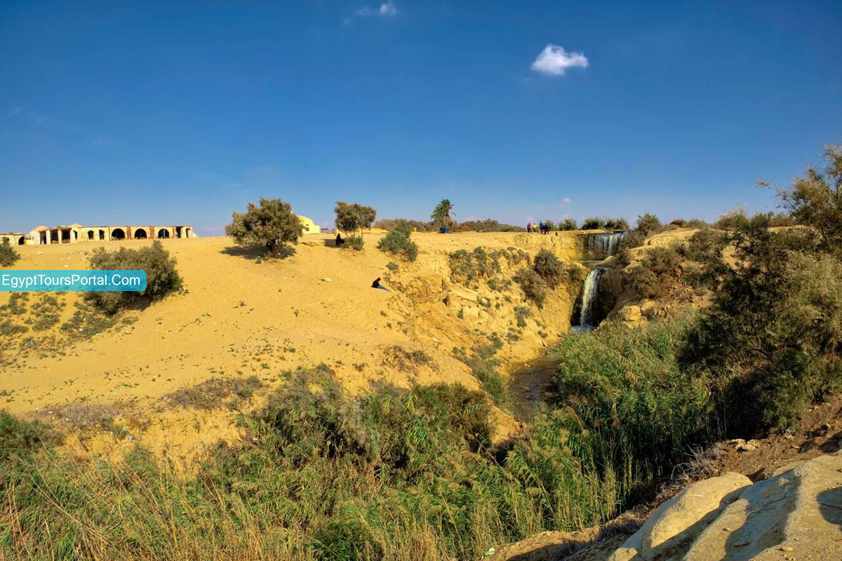 Attractions and Things to Do in Fayum Oasis - Egypt Tours Portal