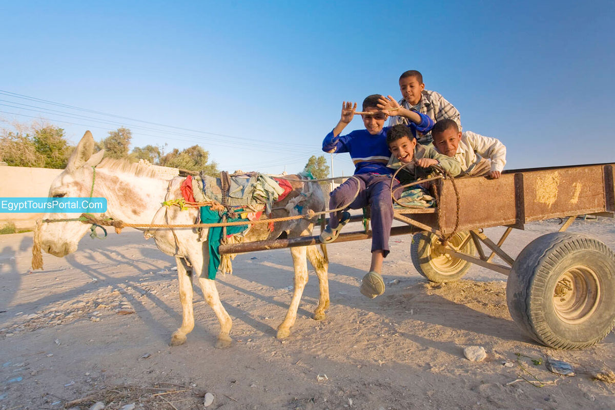 Farafra Facts - Egypt Tours Portal