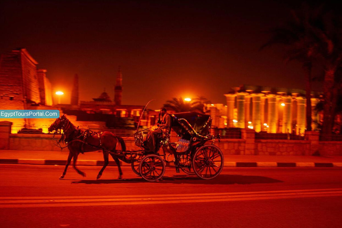 Horse Carriage in Luxor Along the Corniche At Night - Night in Luxor - Egypt Tours Portal