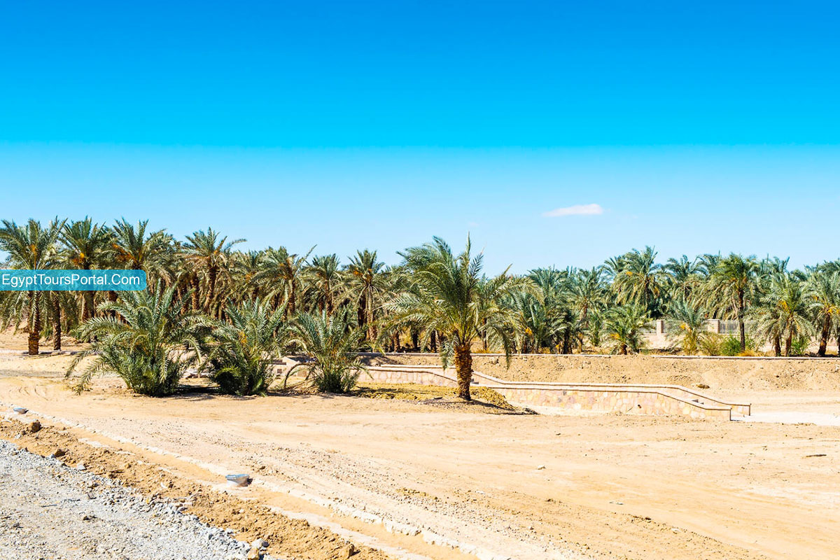 Kharga Oasis Climate - Egypt Tours Portal