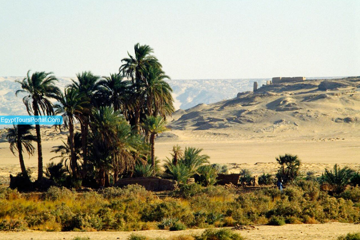 Kharga Oasis Facts - Egypt Tours Portal