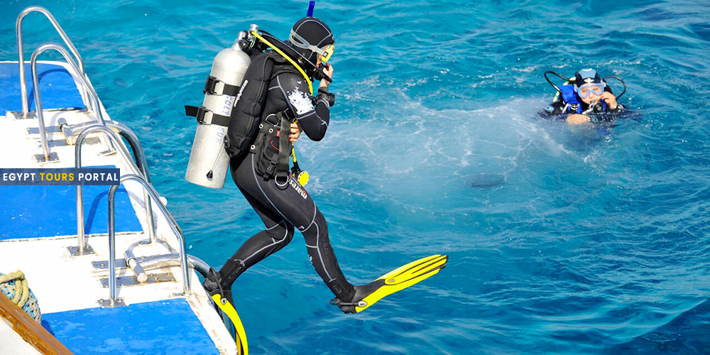 Sinia Red Sea Underwater Life - Egypt Tours Portal