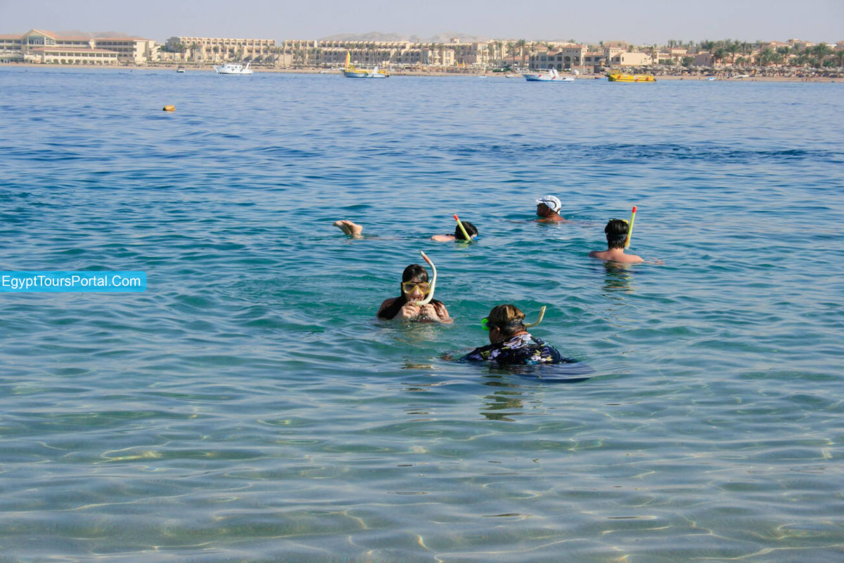 Snorkeling Excursion - Things To Do in Makadi Bay - Egypt Tours Portal