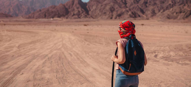 Who Hires a DMC Companies - Egypt Tours Portal