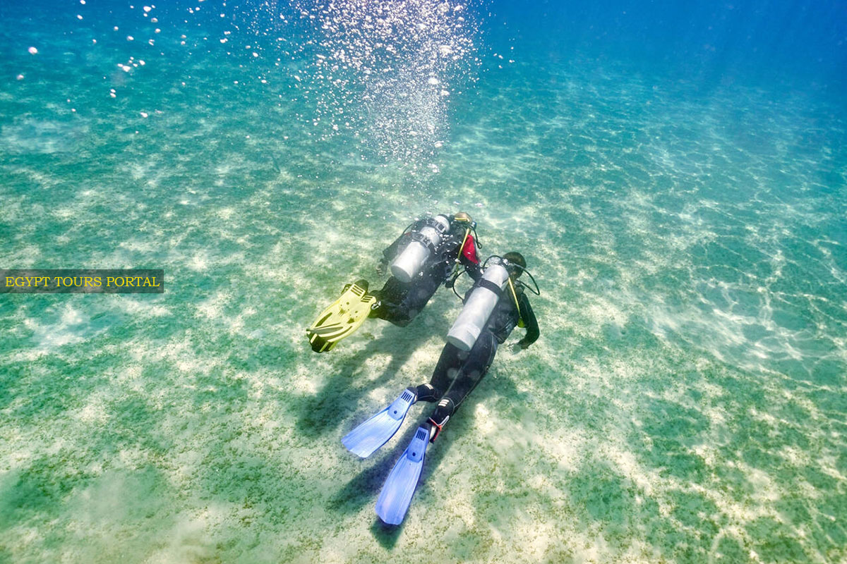 Couples Enjoy Diving in the Red Sea Waters - Egypt Tours Portal