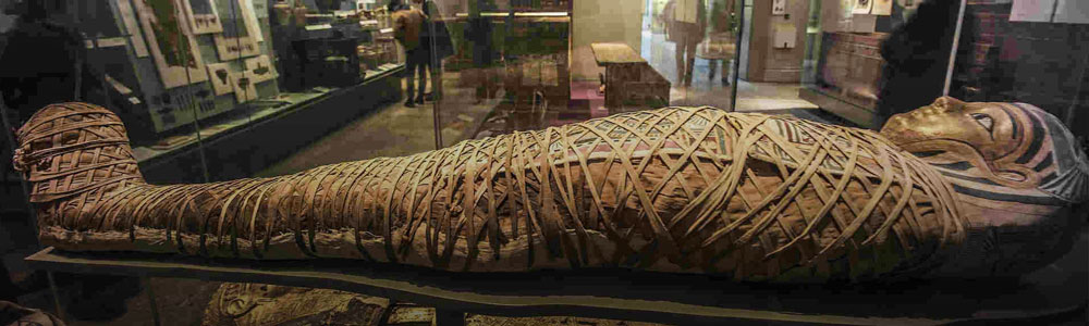 Luxor Mummification Museum - Egypt Tours Portal
