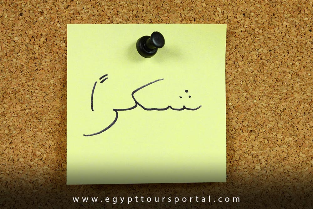 Shukran (Thank You Word in Arabic) - How to Enjoy Egypt as a Solo Traveler - Egypt Tours Portal