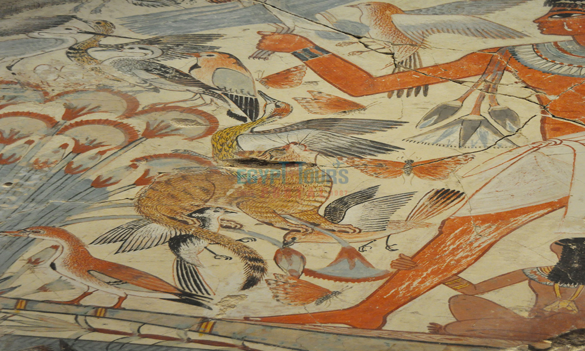 Ancient Egyptian Animals - Egypt Tours Portal