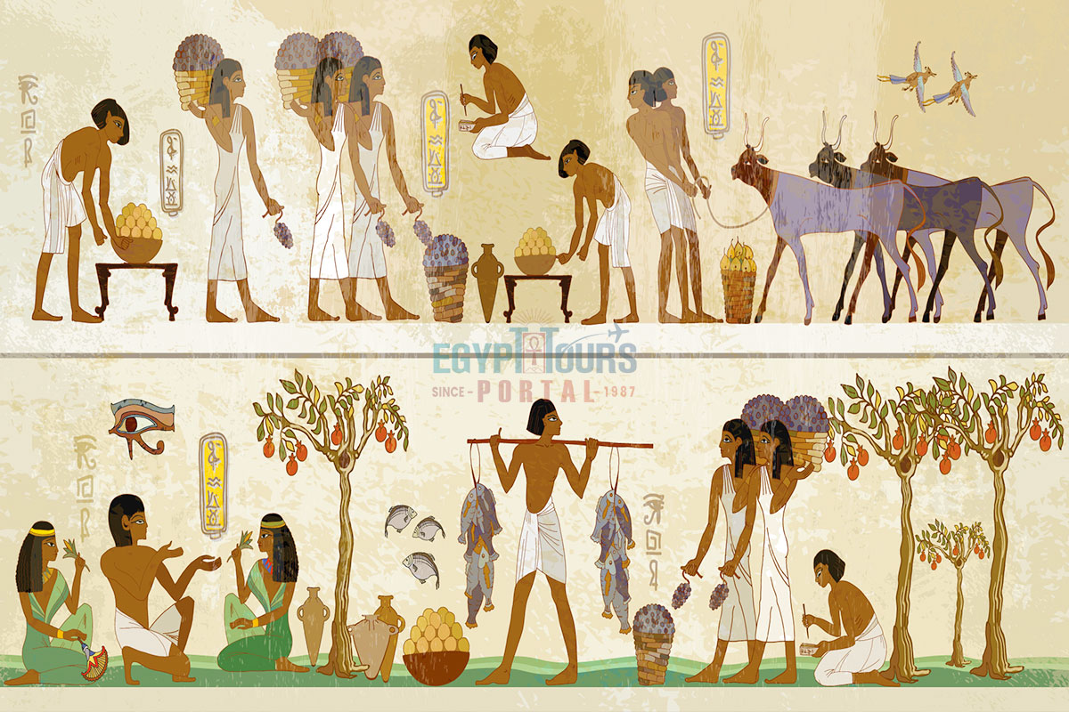 Ancient Egyptian Crops -  Egypt Tours Portal