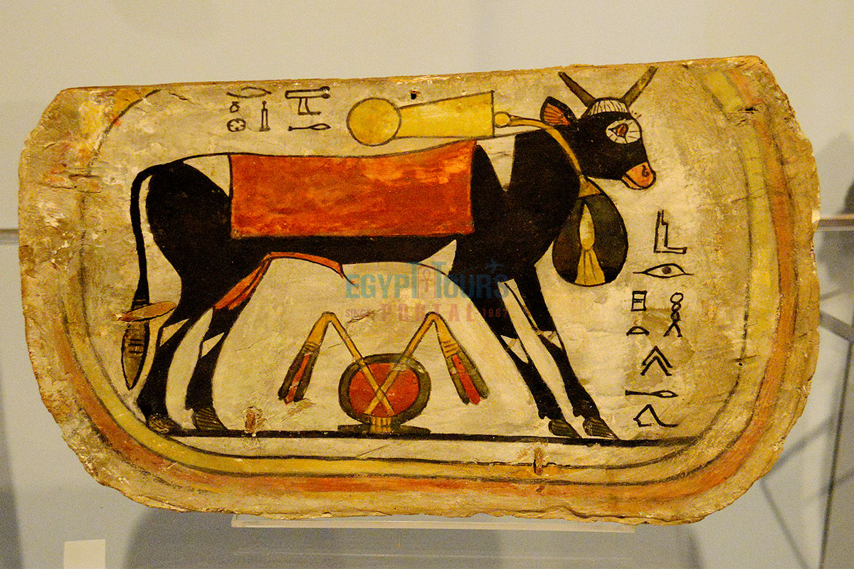 Sacred Animals of Ancient Egypt - Egypt Tours Portal