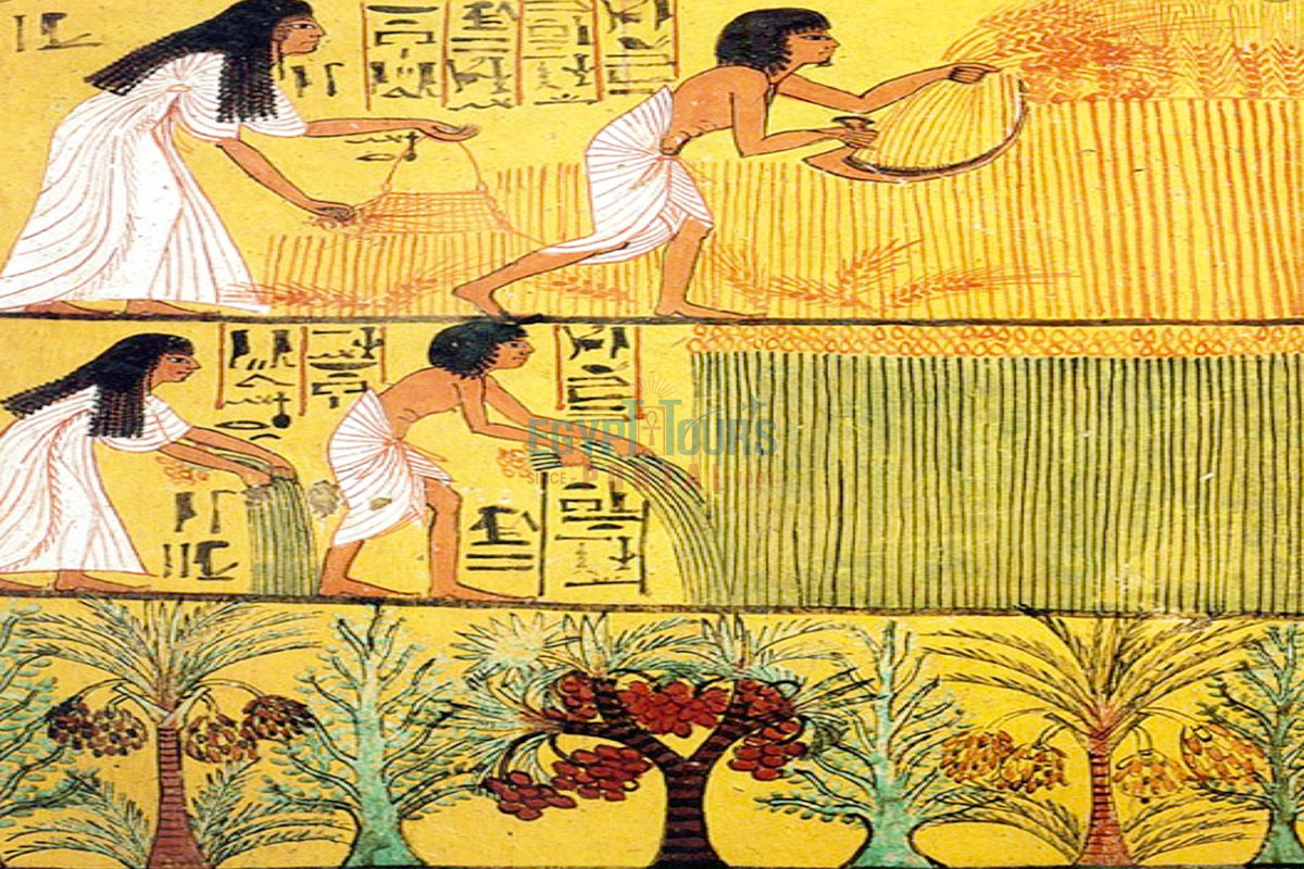 The Tools and Innovations of Ancient Egyptian Farmers - Egypt Tours Portal