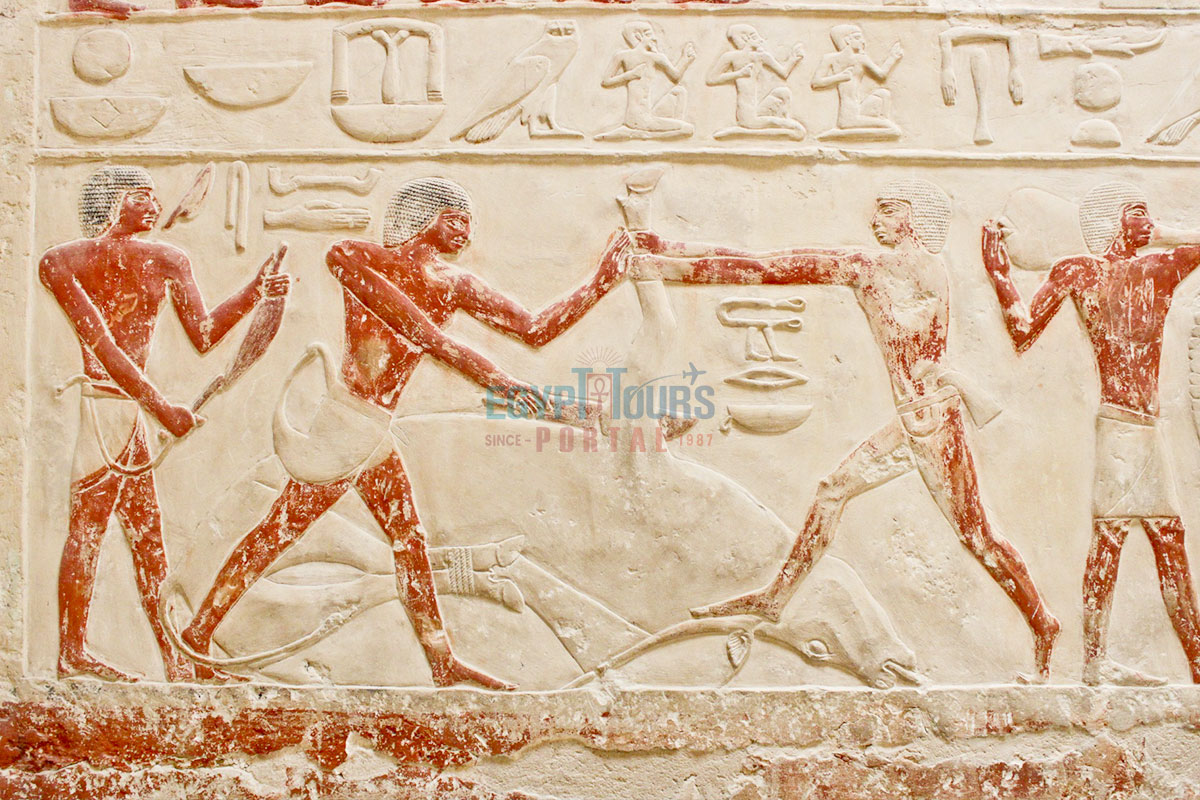 Training Of Ancient Egyptian Athletics - Egypt Tours Portal