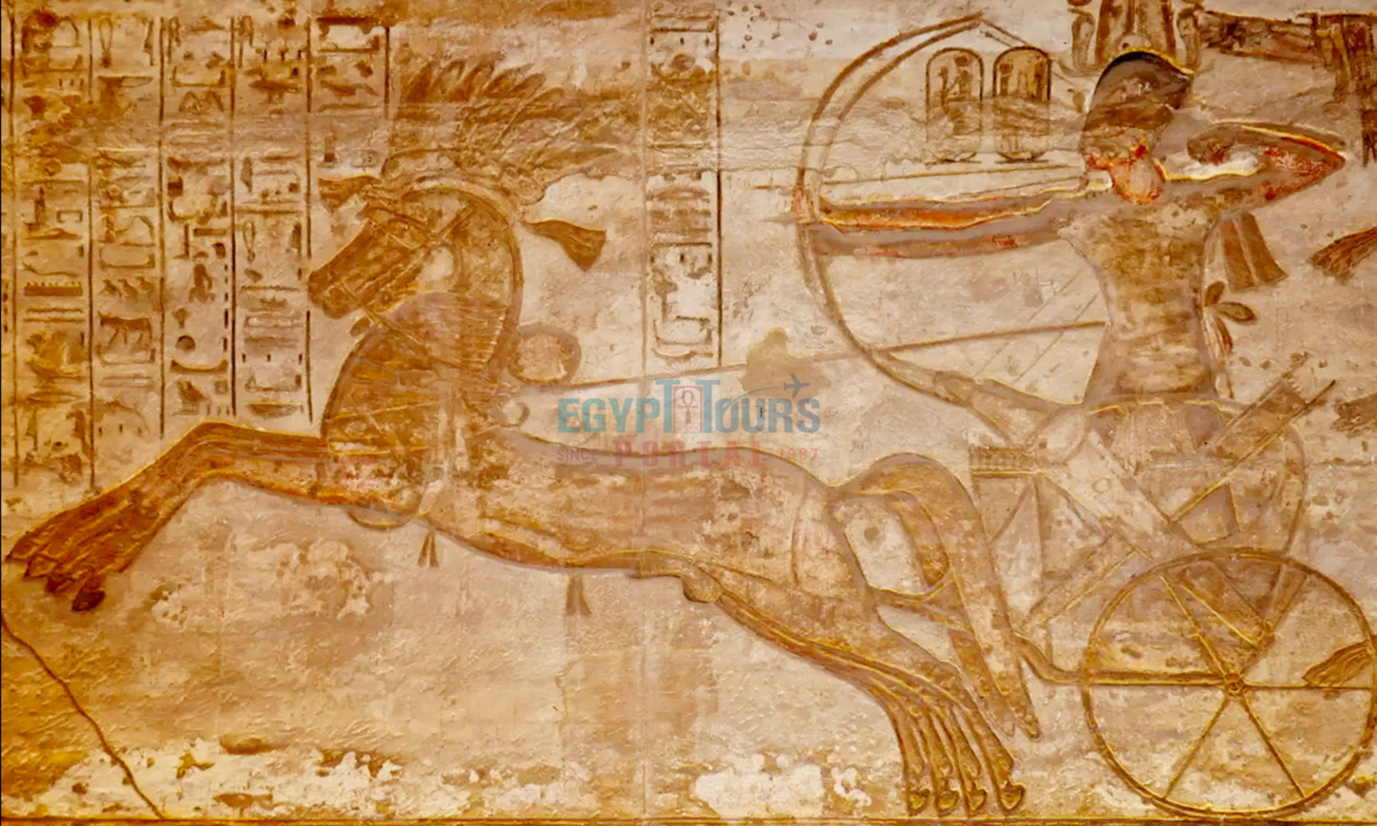 Ancient Egyptian Chariots and Horses - Egypt Tours Portal