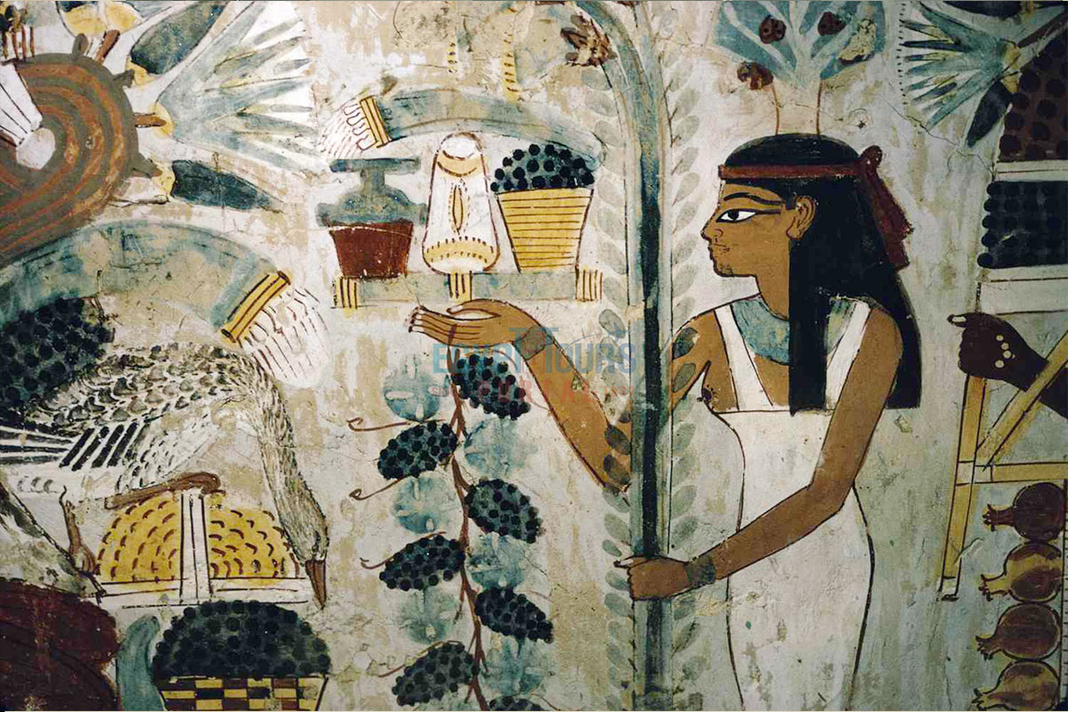 Ancient Egyptian Gardens Plants - Egypt Tours Portal