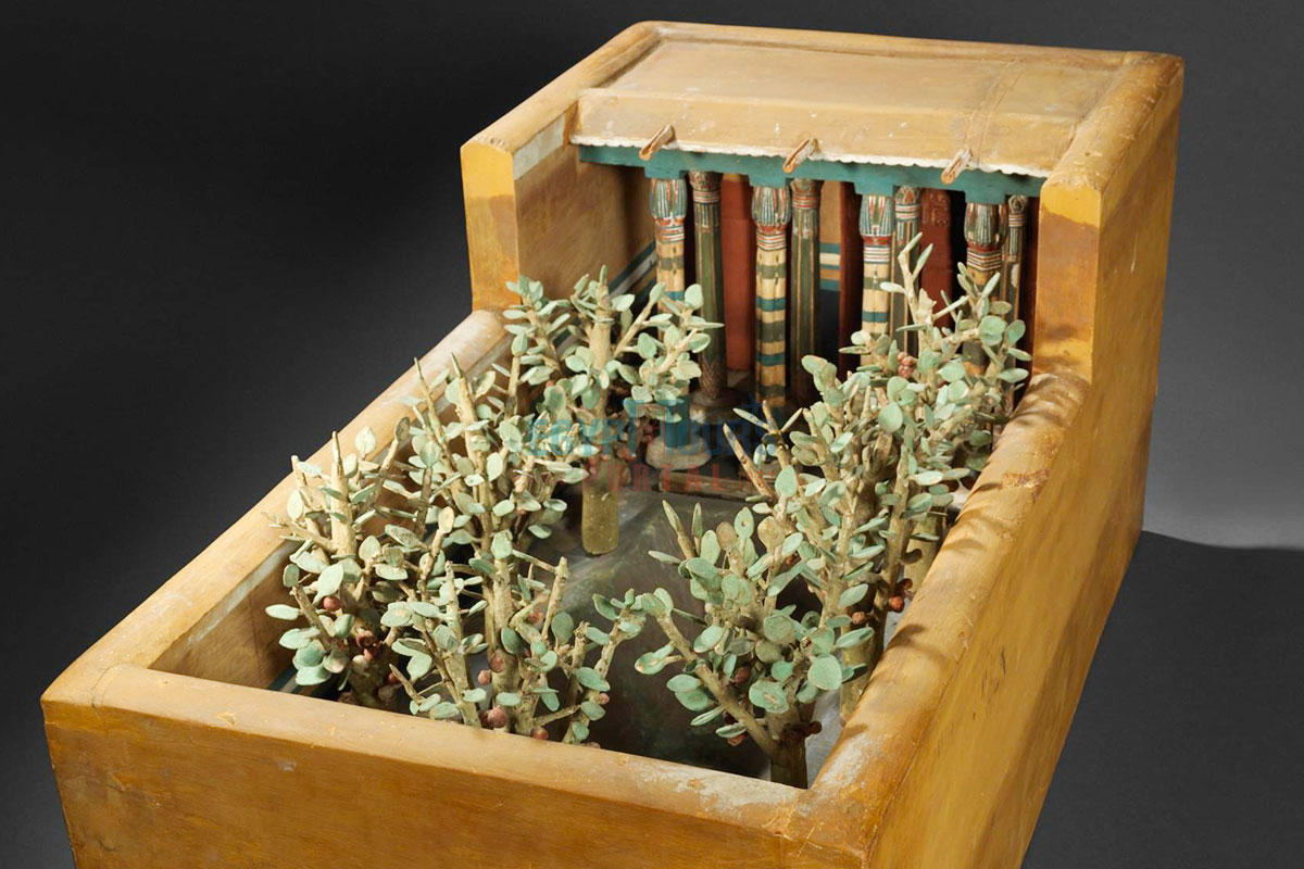 Design and Layout Of Ancient Egyptian Gardens - Egypt Tours Portal