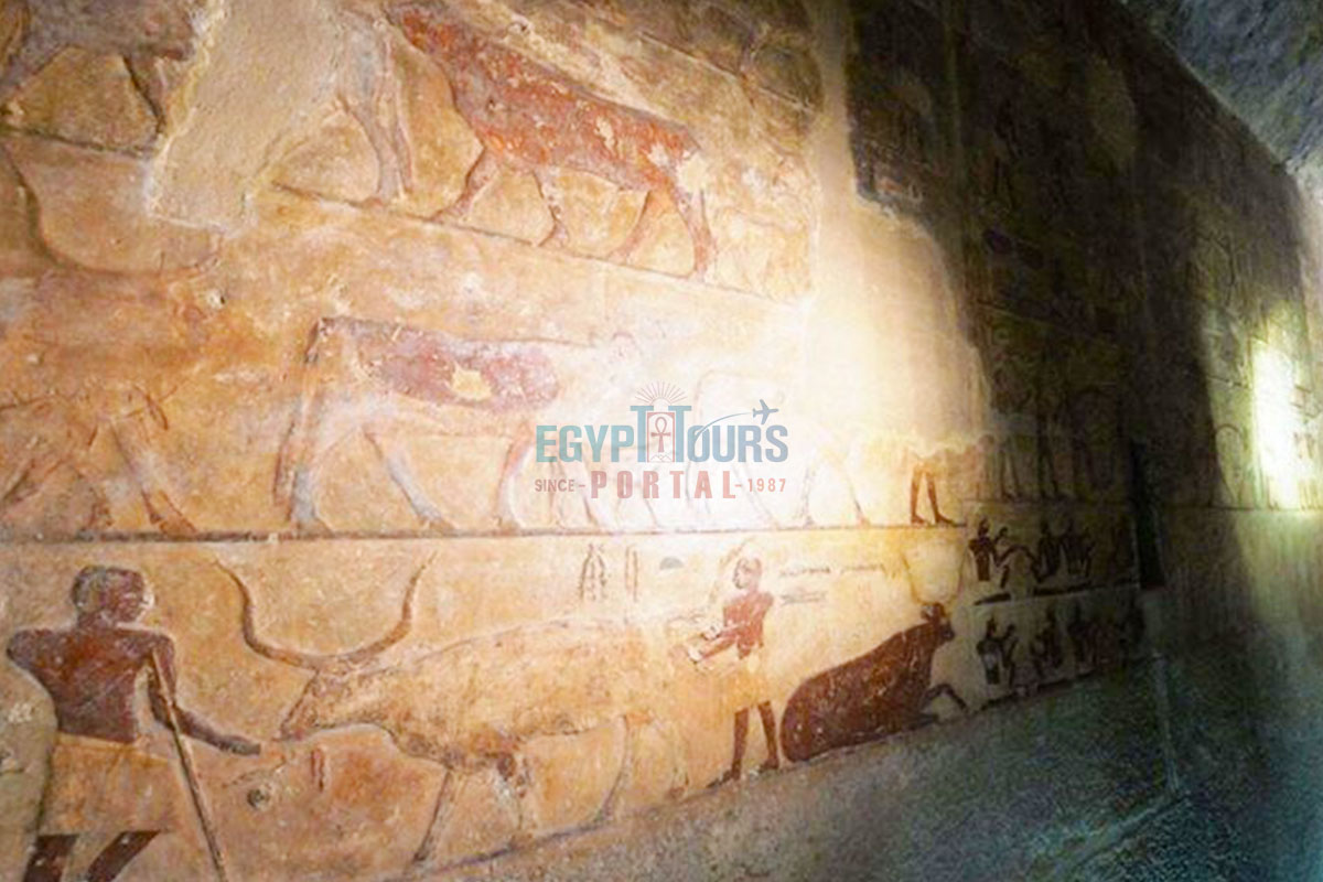 Iymery Tomb Preservation - Egypt Tours Portal