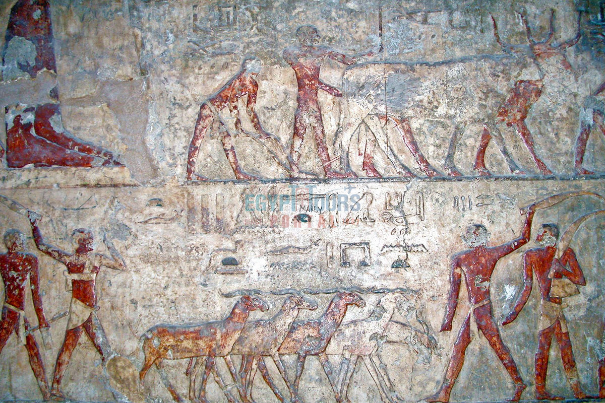 Religious Imagery In Iymery Tomb In Giza - Egypt Tours Portal
