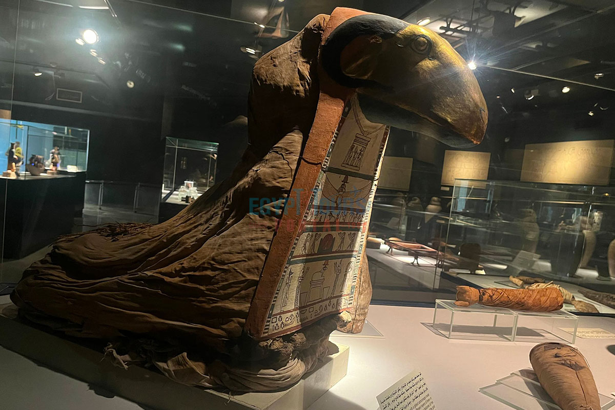 Architecture and Design of the Mummification Museum In Luxor - Egypt Tours Portal