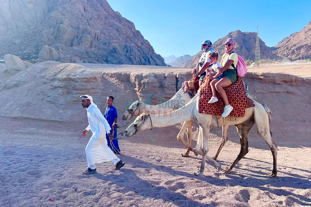 Camel Ride In Egyptian Desert -  Egypt Tours Portal
