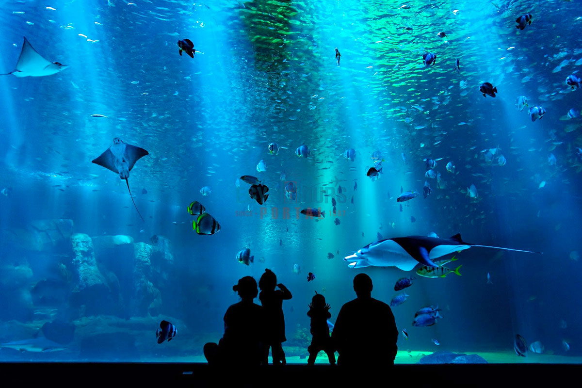 Hurghada Aquarium - Egypt Tours Portal