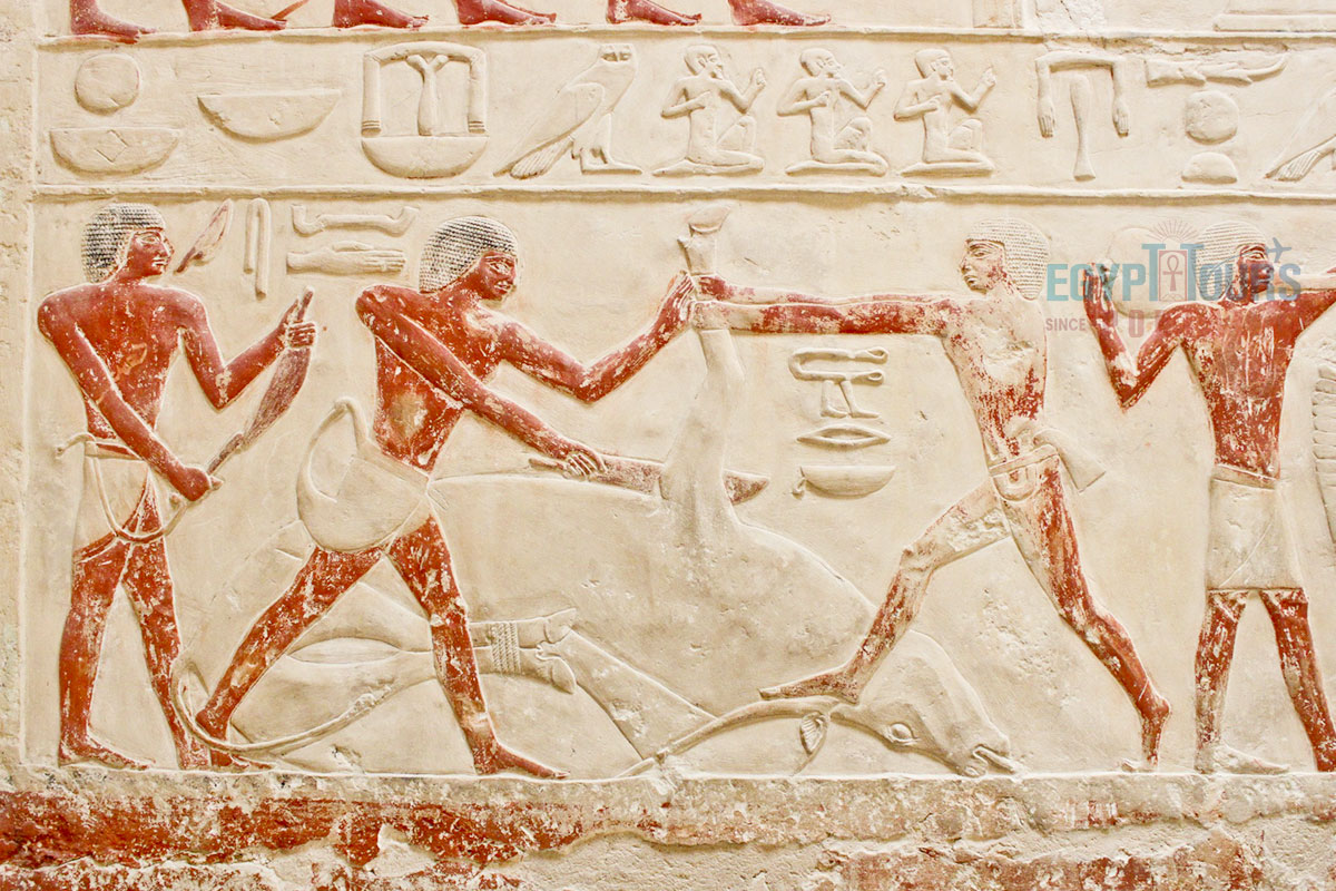 Ancient Egyptian Sports and Leisure Customs - Egypt Tours Portal