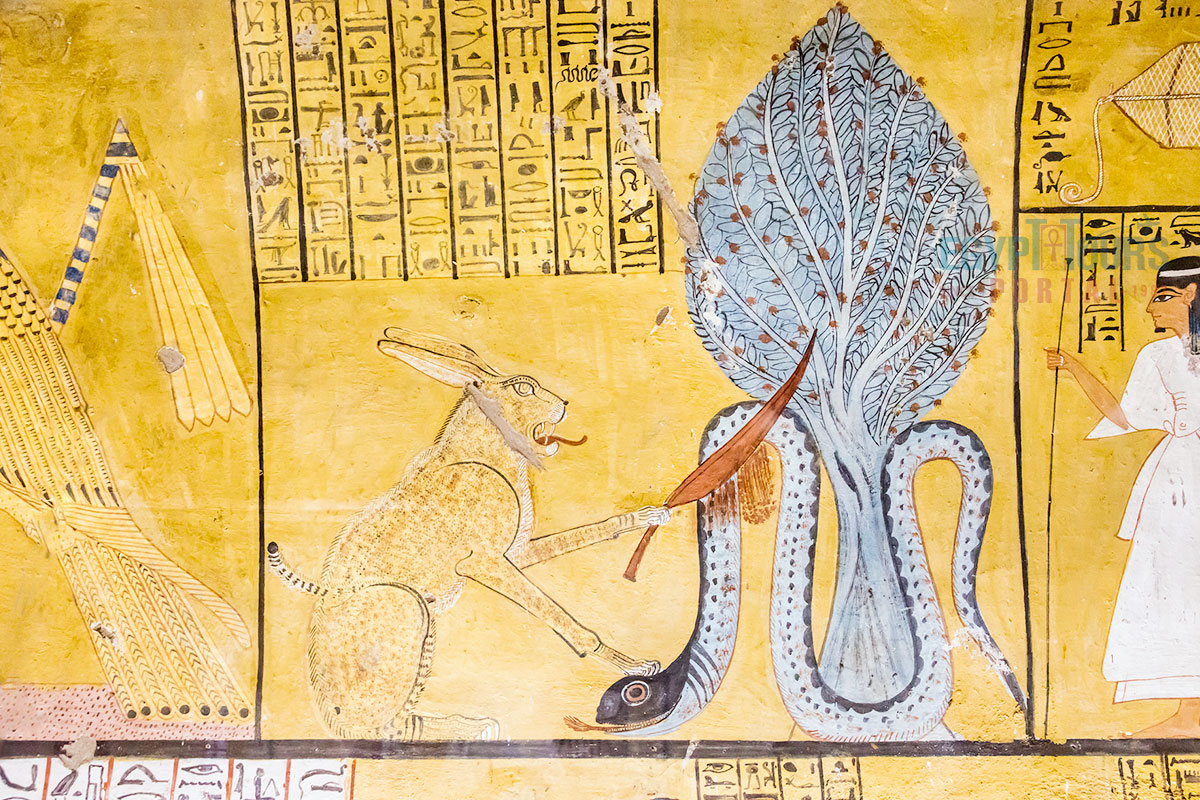 Appep - Egypt Tours Portal