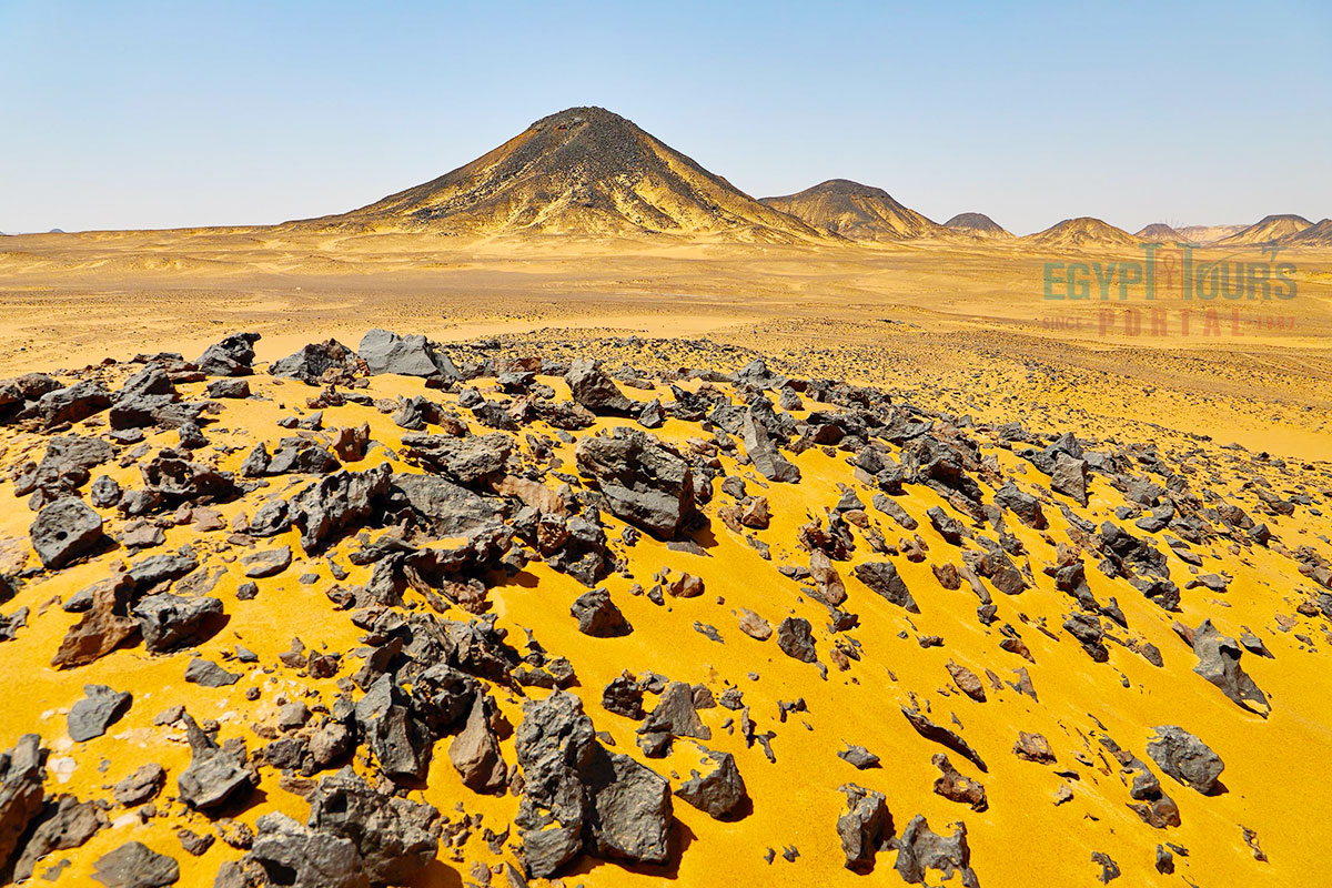 Black Desert - Egypt Tours Portal