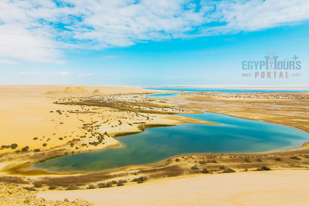 Ecosystem Of The Western Desert - Egypt Tours Portal