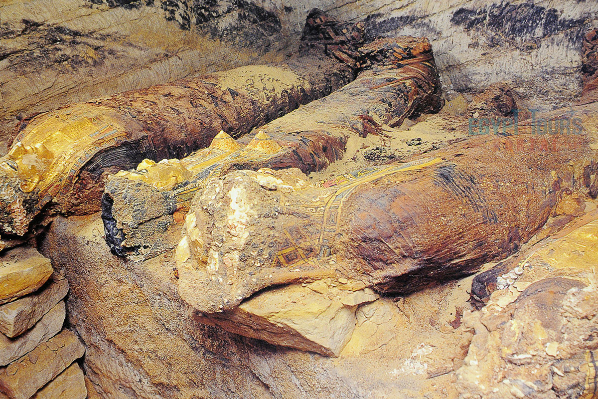 Overview of the Valley of the Golden Mummies - Egypt Tours Portal
