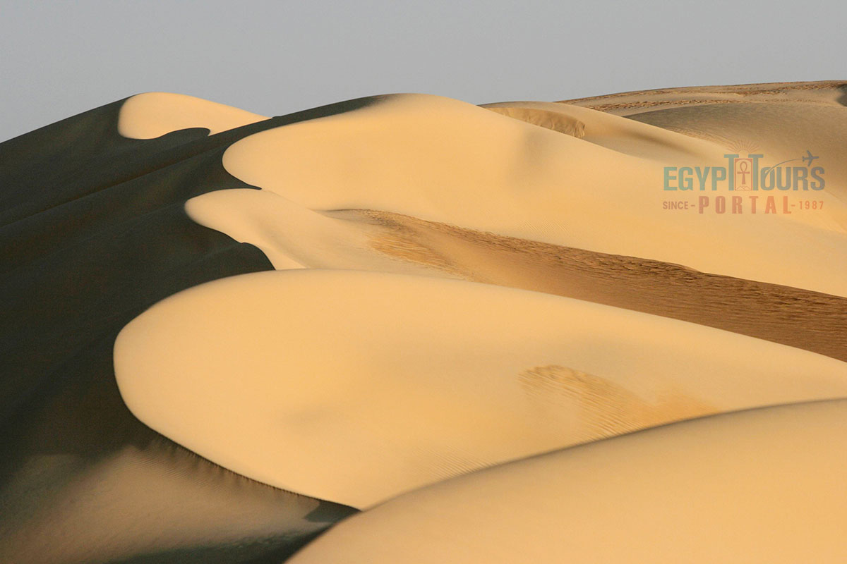 The Great Sand Sea - Egypt Tours Portal