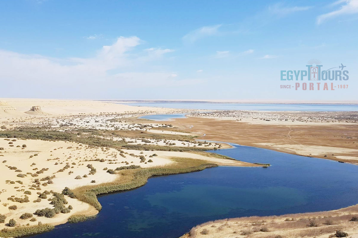Wadi El Hitan Geology- Egypt Tours Portal