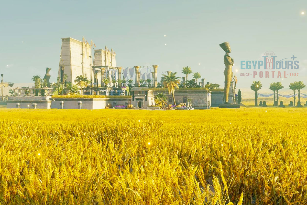 The Field of Reeds in the Afterlife - Egypt Tours Portal