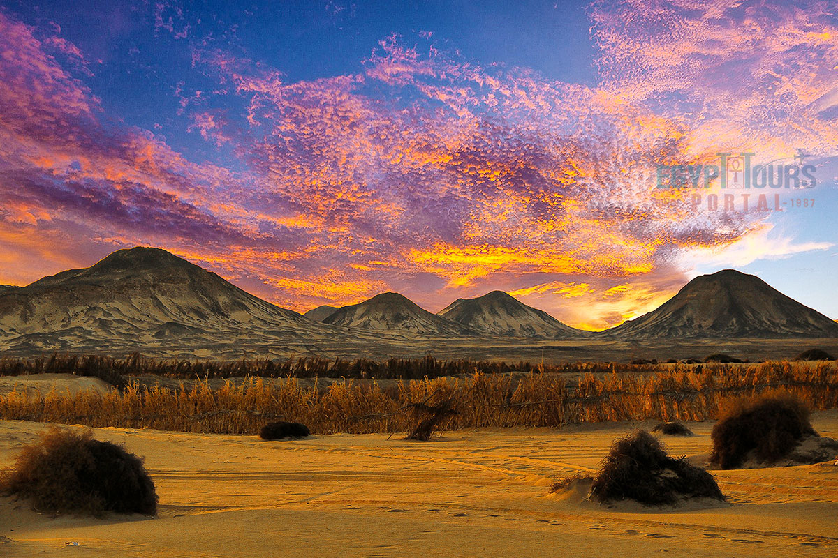 Deserts and Oases of Egypt - Egypt Tours Portal