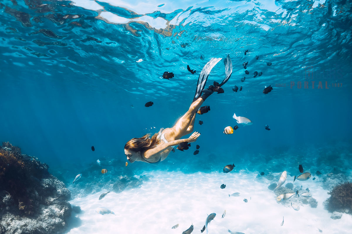 Diving and Snorkeling - Egypt Tours Portal