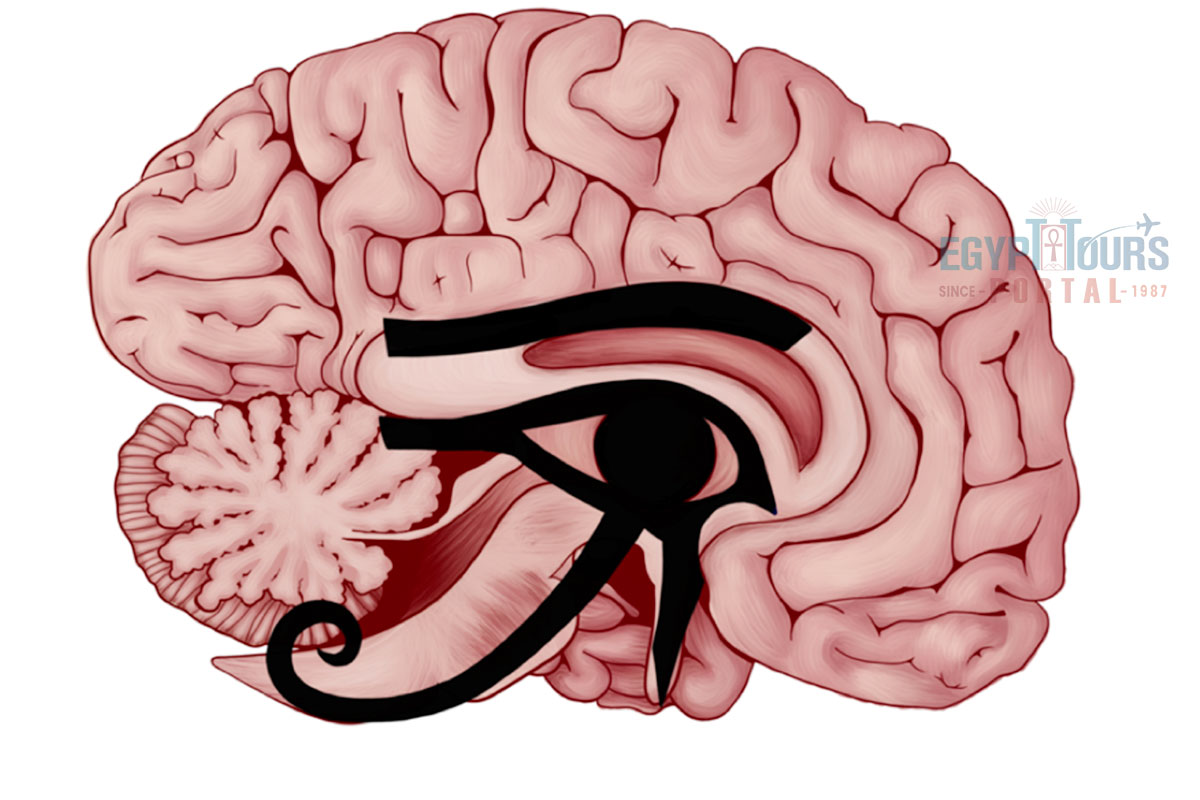 Significance of the Eye of Horus - Egypt Tours Portal