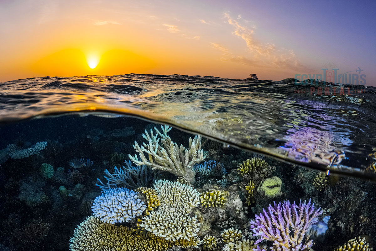 Climate of the Red Sea - Egypt Tours Portal