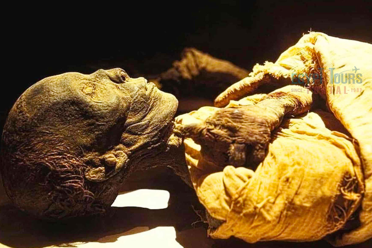 King Menes's Birth & Death - Egypt Tours Portal