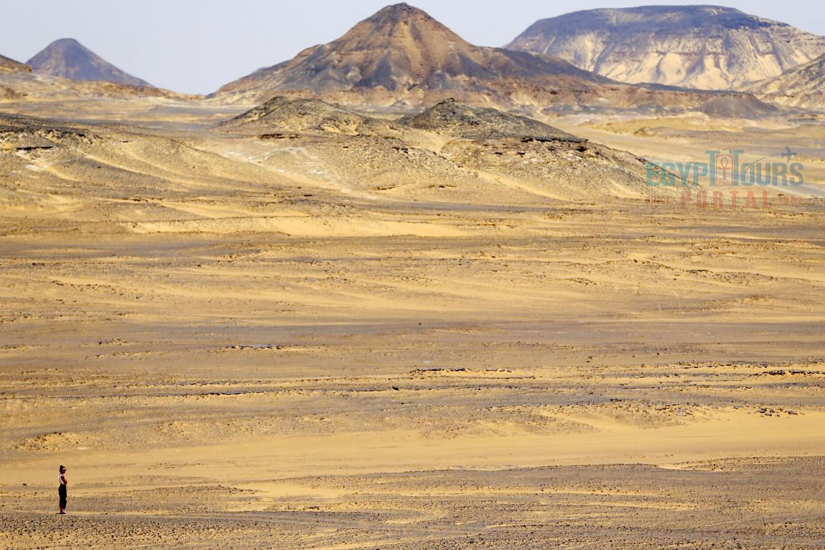 Meaning Behind the Bahariya Oasis - Egypt Tours Portal