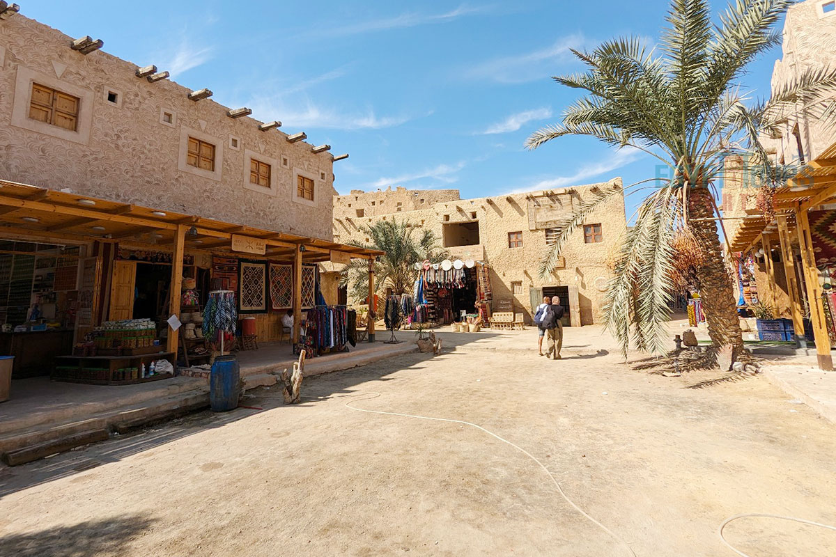 Detect The Graceful Nature Culture History Of Siwa Oasis