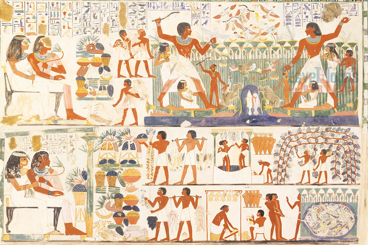 Society of the Old Kingdom of Egypt - Egypt Tours Portal